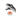 Optical Alignment Kit