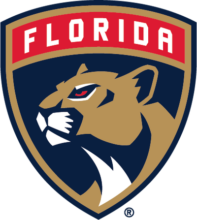 NHL Custom Overlay - Florida Panthers img